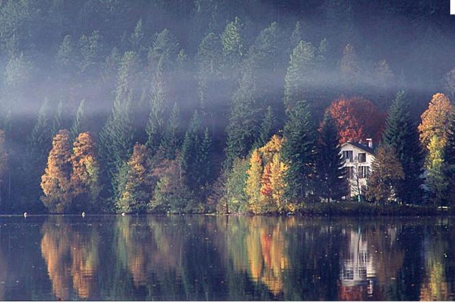 La Salamandre * Gerardmer